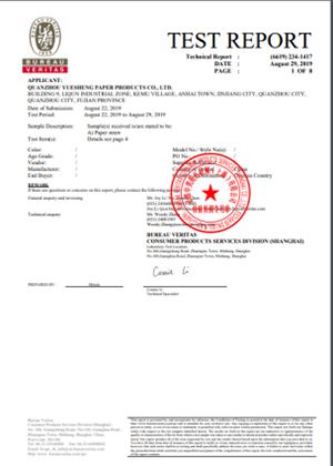 LFGB and BFR Test Report