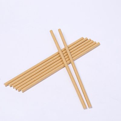 Paper Straws for American Customer