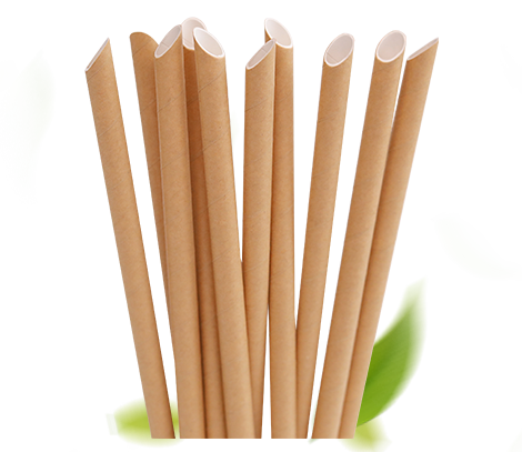 Paper Straws