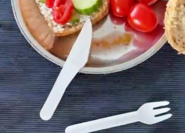 BIO Paper Cutlery For Party Camping
